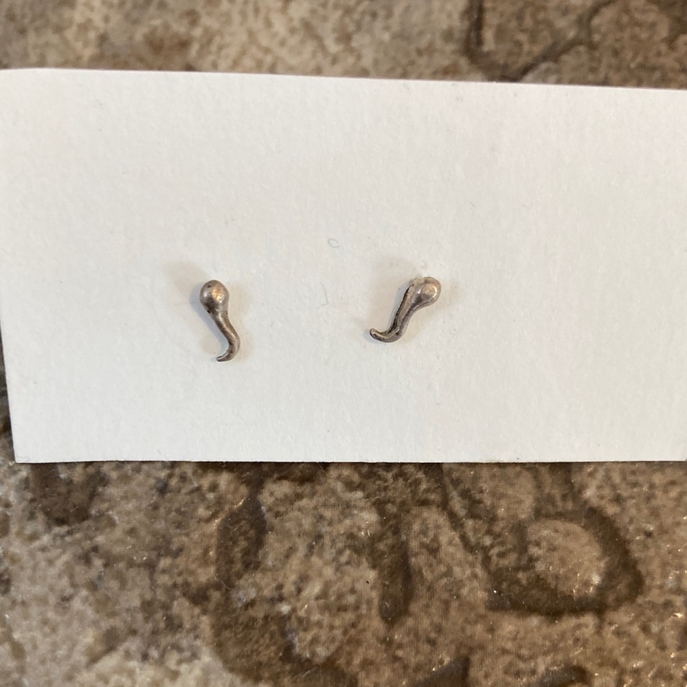 Silver Stud Earrings